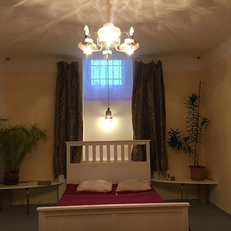 Vintage Studio Apartment, Garden And Free Parking 布达佩斯 外观 照片