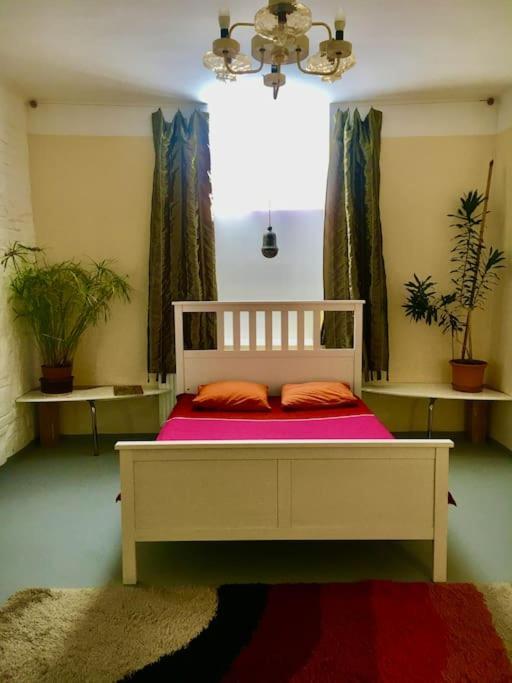 Vintage Studio Apartment, Garden And Free Parking 布达佩斯 外观 照片