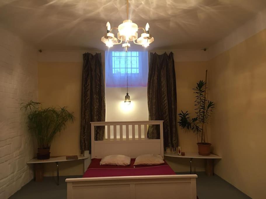 Vintage Studio Apartment, Garden And Free Parking 布达佩斯 外观 照片