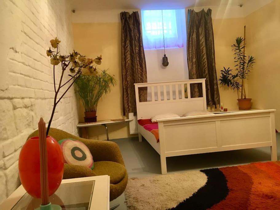 Vintage Studio Apartment, Garden And Free Parking 布达佩斯 外观 照片