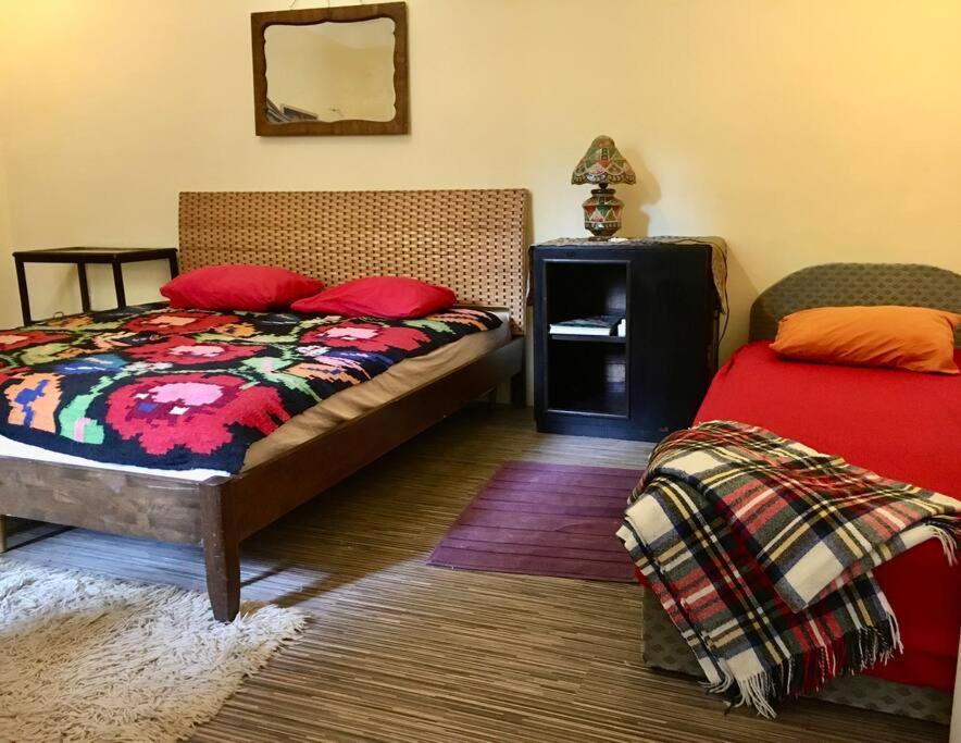 Vintage Studio Apartment, Garden And Free Parking 布达佩斯 外观 照片