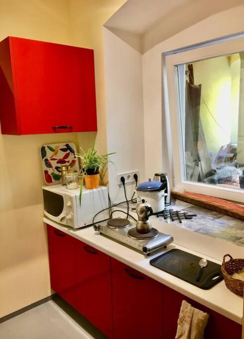 Vintage Studio Apartment, Garden And Free Parking 布达佩斯 外观 照片