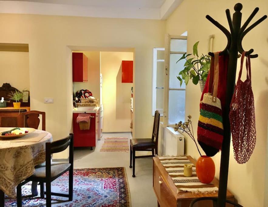 Vintage Studio Apartment, Garden And Free Parking 布达佩斯 外观 照片
