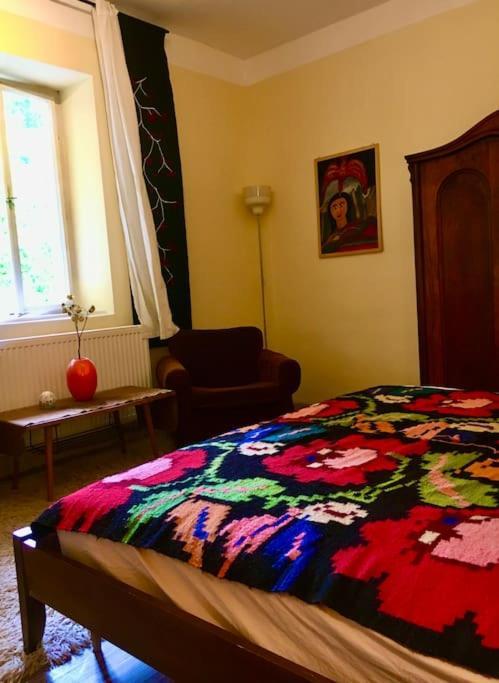 Vintage Studio Apartment, Garden And Free Parking 布达佩斯 外观 照片
