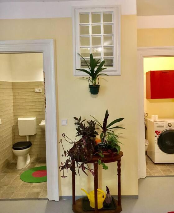 Vintage Studio Apartment, Garden And Free Parking 布达佩斯 外观 照片