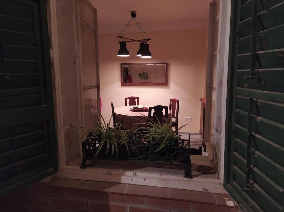 Vintage Studio Apartment, Garden And Free Parking 布达佩斯 外观 照片