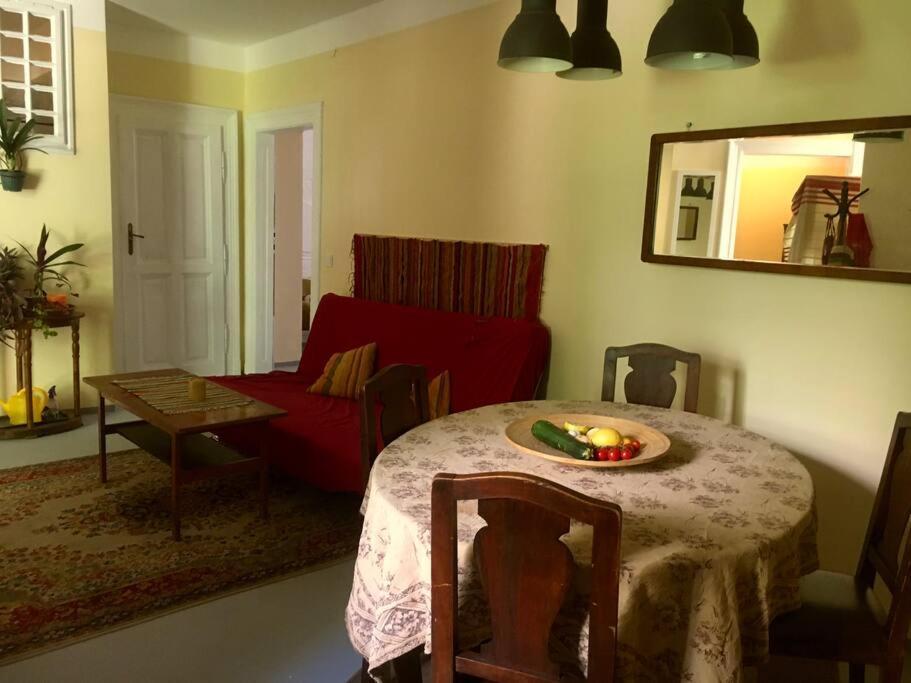 Vintage Studio Apartment, Garden And Free Parking 布达佩斯 外观 照片
