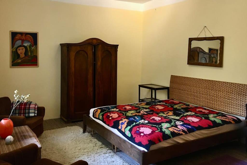 Vintage Studio Apartment, Garden And Free Parking 布达佩斯 外观 照片