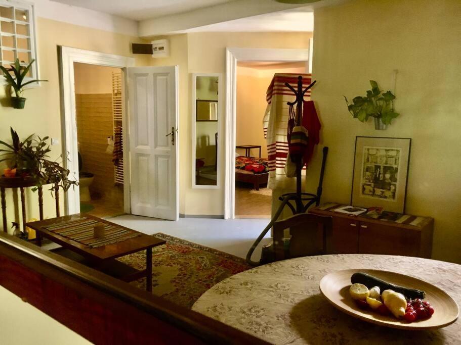 Vintage Studio Apartment, Garden And Free Parking 布达佩斯 外观 照片